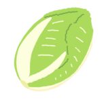 free Chinese cabbage clip art
