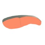 free salmon clip art