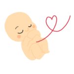 臍の緒で繋がった赤ちゃんの無料イラスト