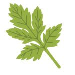 よもぎの無料イラスト