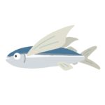 トビウオの無料イラスト