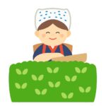 茶摘みをする茶娘の無料イラスト