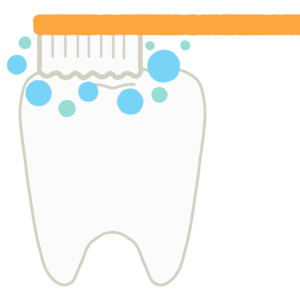 歯ブラシで歯磨きをしている歯の無料イラスト素材