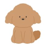 トイプードルの無料イラスト素材