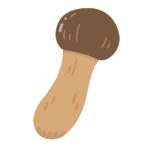 マツタケ１本の無料イラスト素材