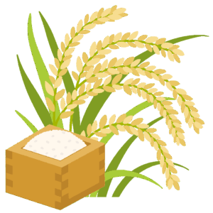 実った稲穂とお米の入った枡の無料イラスト素材（収穫・農業・和食・秋の味覚）