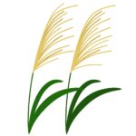 clip art of silver grass leaf-illpop.com