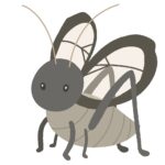 鈴虫の無料イラスト素材
