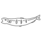 ししゃも（白黒）の無料イラスト素材（魚・線画・塗り絵・食育教材）