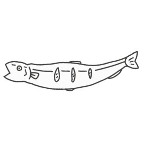 ししゃも（白黒）の無料イラスト素材（魚・線画・塗り絵・食育教材）