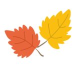 紅葉した葉っぱの無料イラスト素材（秋・落ち葉・季節素材・自然）