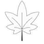 楓（白黒）の無料イラスト素材（線画・もみじ・塗り絵・モノクロ）