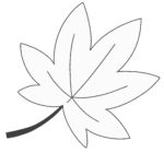 楓の葉っぱ（白黒）の無料イラスト素材（線画・もみじ・塗り絵・モノクロ）
