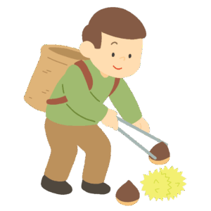 栗拾いをする男性の無料イラスト素材（秋・人物・季節行事・自然体験）