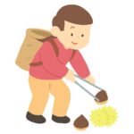 栗拾いをする女性の無料イラスト素材（秋・人物・季節行事・自然体験）