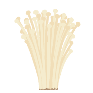 Enoki Mushroom (Autumn Food, Seasonal Ingredient, PNG)