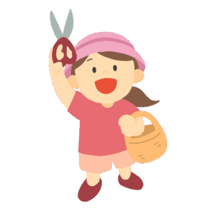 Girl Harvesting Fruit with Scissors (Fruit Picking, Autumn Activity, PNG)