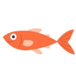 赤色の魚の無料イラスト素材(海の生き物・水族館・イベント)