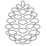 free illustration of pinecone(monochrome)(autumn/autumn/monochrome)