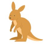clip art of kangaroo(animal/Wild Australia)