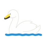 clip art of swan swimming-illpop.com