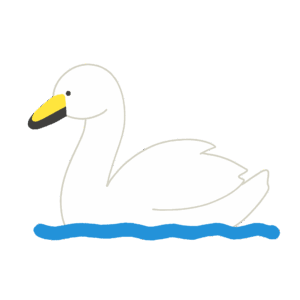 clip art of swan swimming-illpop.com
