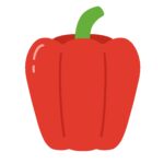 赤色のパプリカの無料イラスト素材