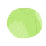 レタスの無料イラスト素材