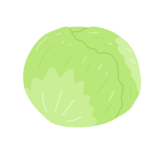 clip art of lettuce-illpop.com