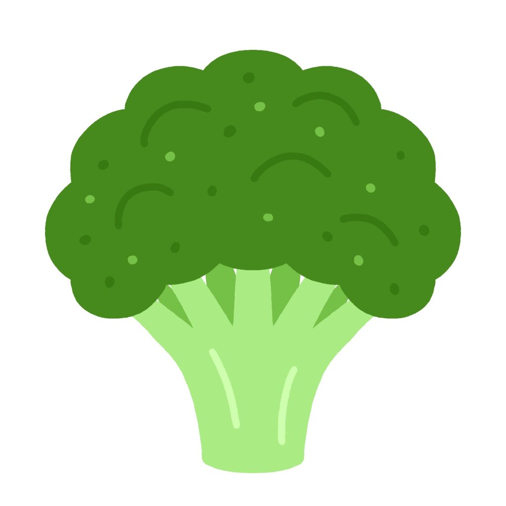 ブロッコリーの無料イラスト素材