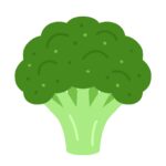 ブロッコリーの無料イラスト素材