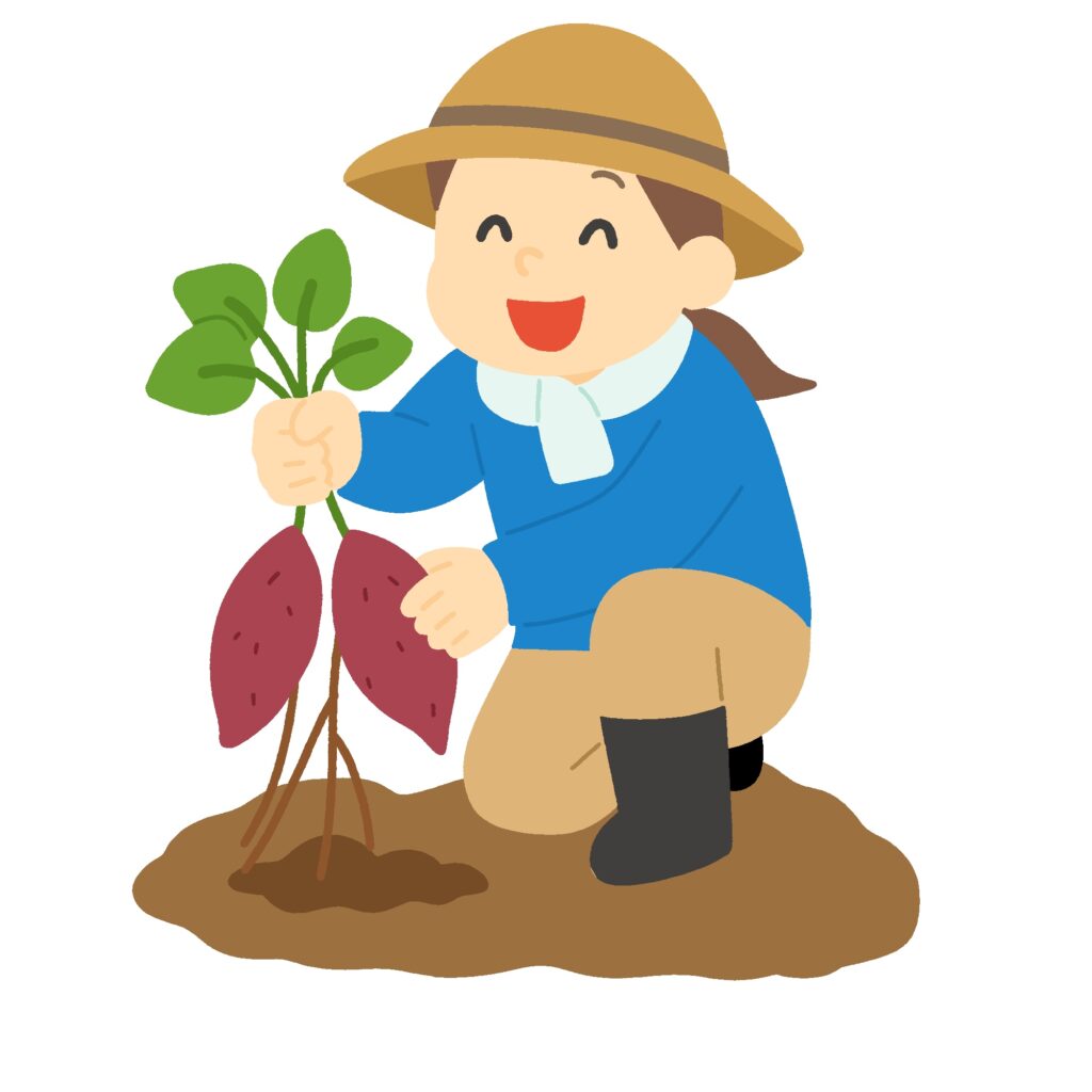サツマイモを掘る人の無料イラスト素材