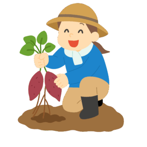 サツマイモを掘る人の無料イラスト素材