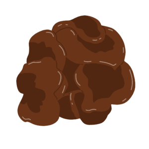 大きなきくらげの無料イラスト素材