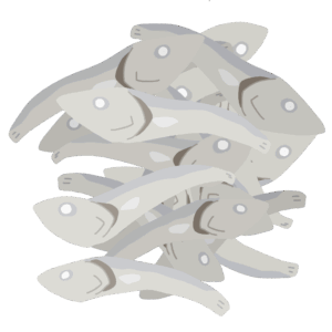 いりこの無料イラスト素材