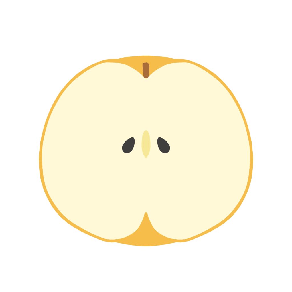 梨の断面の無料イラスト素材