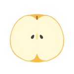 clip art of pear cross section-illpop.com