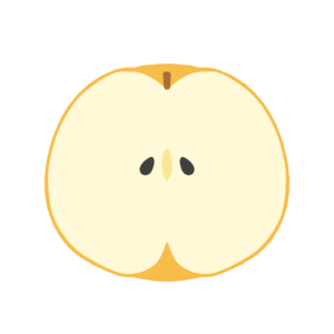 梨の断面の無料イラスト素材