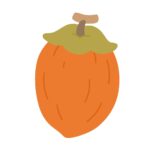 干し柿の無料イラスト素材