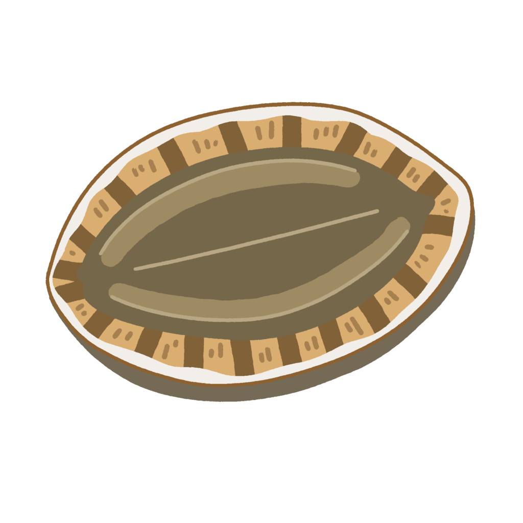 アワビの無料イラスト素材