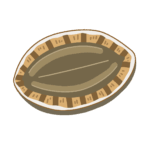 clip art of abalone-illpop.com