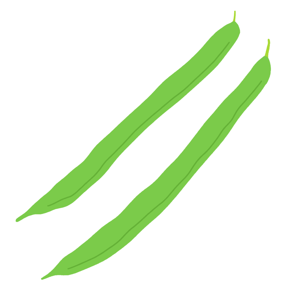さやいんげんの無料イラスト素材