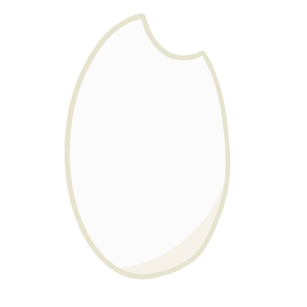 白米の無料イラスト素材