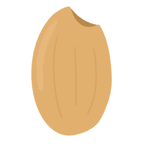 clip art of brown rice-illpop.com