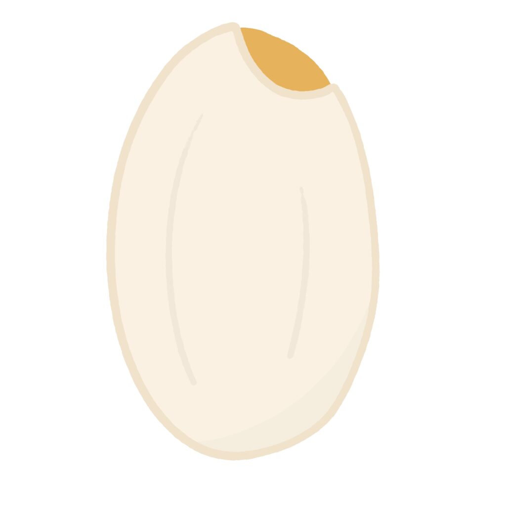 胚芽米の無料イラスト素材