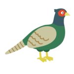 clip art of pheasant(pheasant)