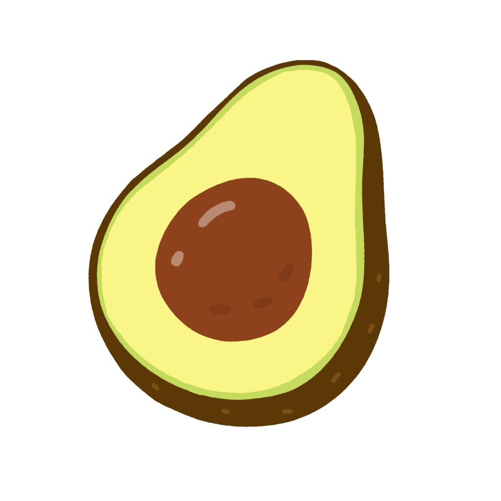半分に切ったアボカドの無料イラスト素材
