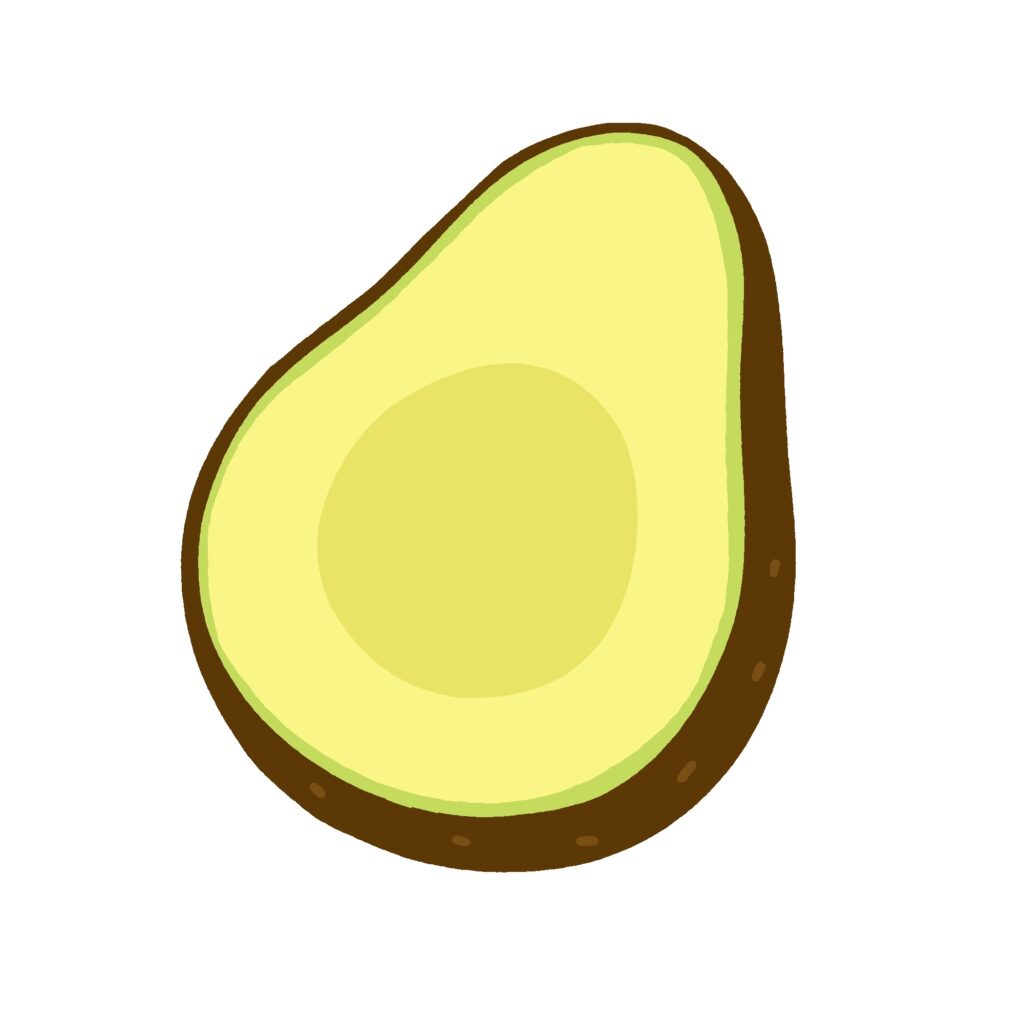 種を取ったアボカドの無料イラスト素材