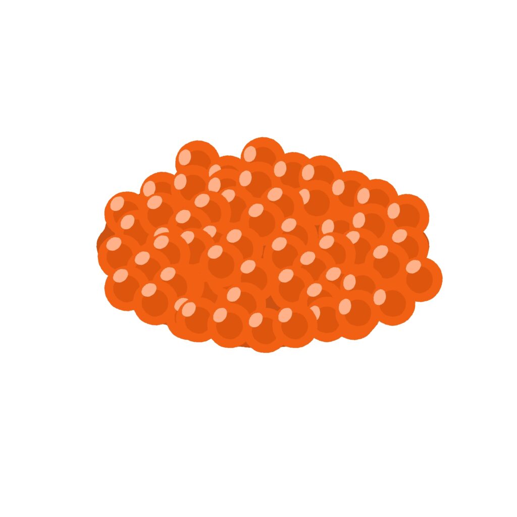 イクラ（魚卵）の無料イラスト素材