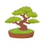 盆栽（松）の無料イラスト素材